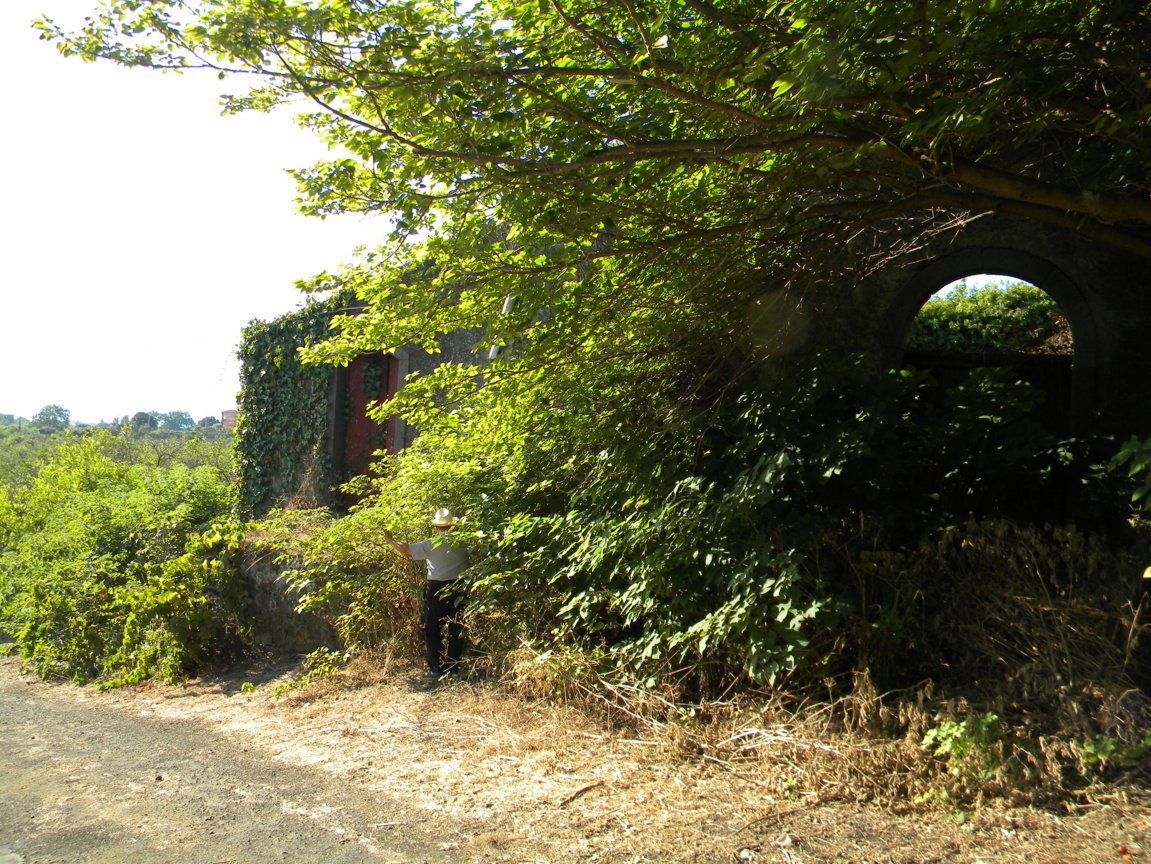 DSCN8050 .JPG